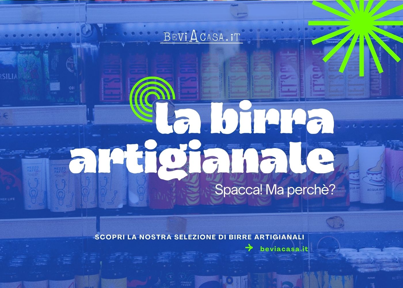 Birra Artigianale: Una Guida Completa tra Curiosità e Abbinamenti